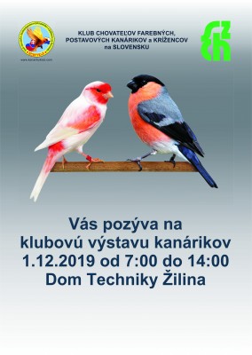 Výstava kanárikov - Dom techniky