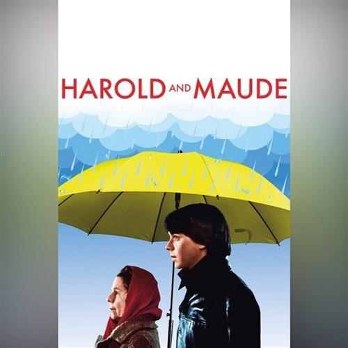 Letné kino: Harold a Maude