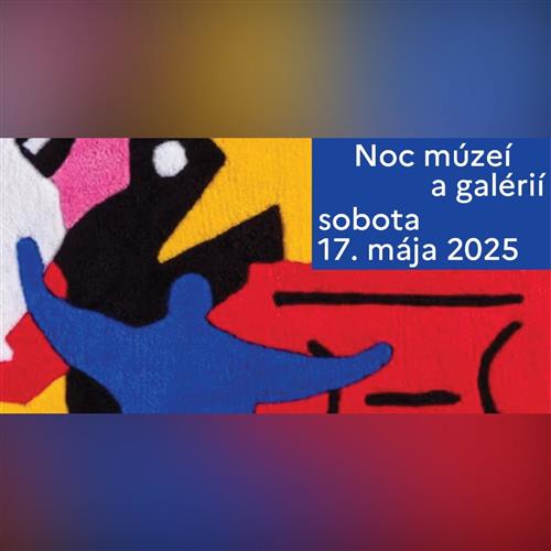 Noc múzeí a galérií v Synagóge