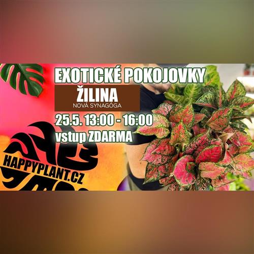 HappyPlant - predajná akcia izbových rastlín