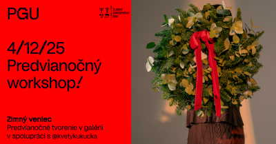 Predvianočný workshop: ZIMNÝ VENIEC