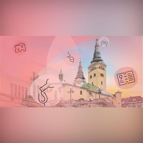 Nevinne o víne - najväčšia ochutnávka vín v Žiline