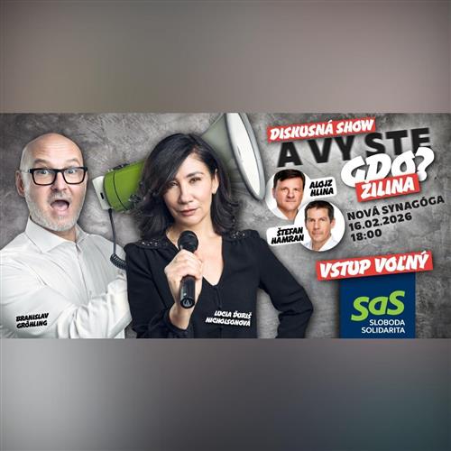 A vy ste gdo SaS? Lucia Ďuriš Nicholsonová, Branislav Gröhling, Alojz Hlina a Štefan Hamran