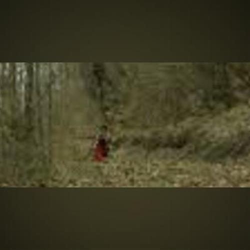 Anton Čierny / Jaroslav Kyša / študentstvo VŠVU: Performatívne expedície